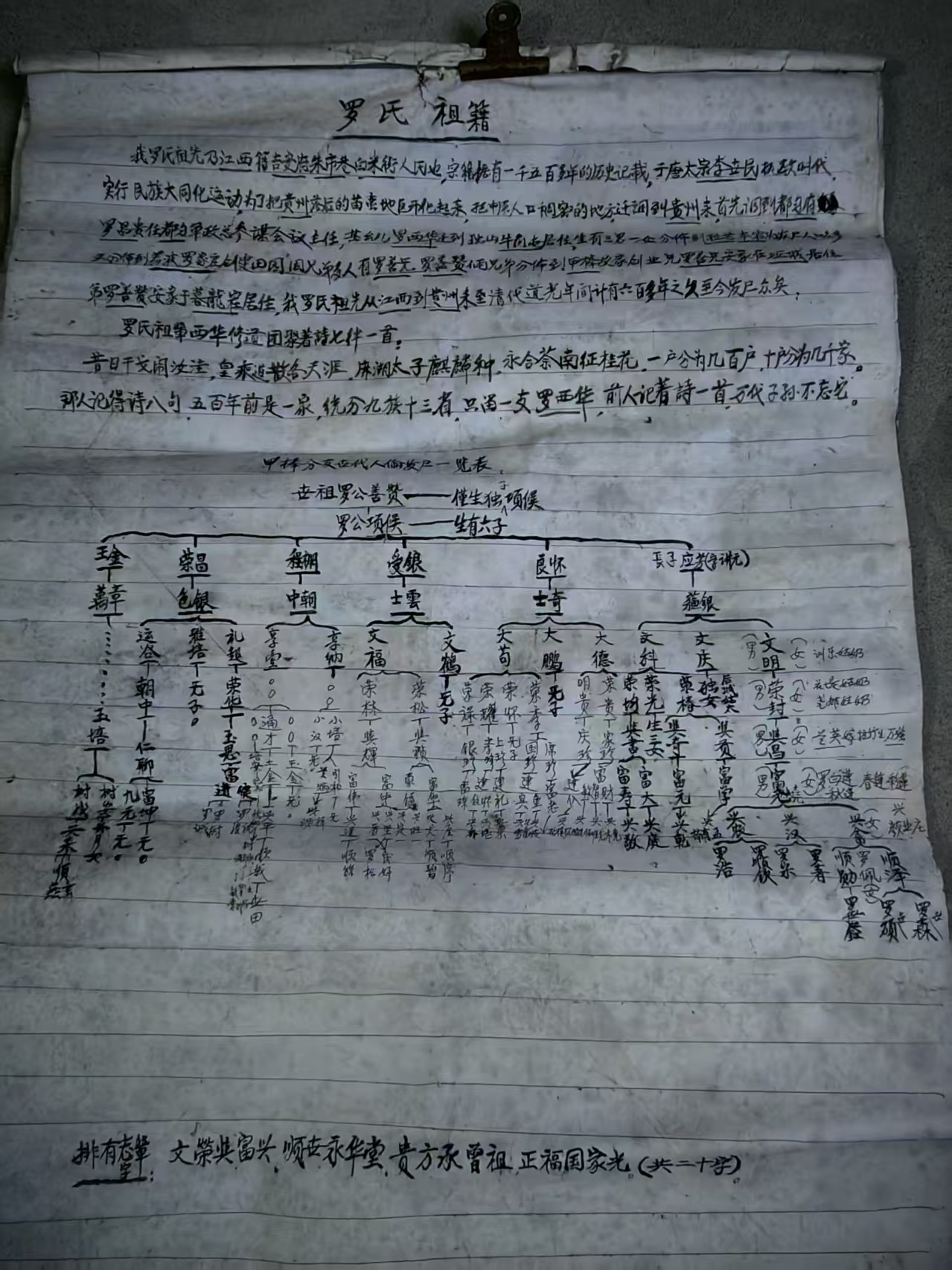 文章图片